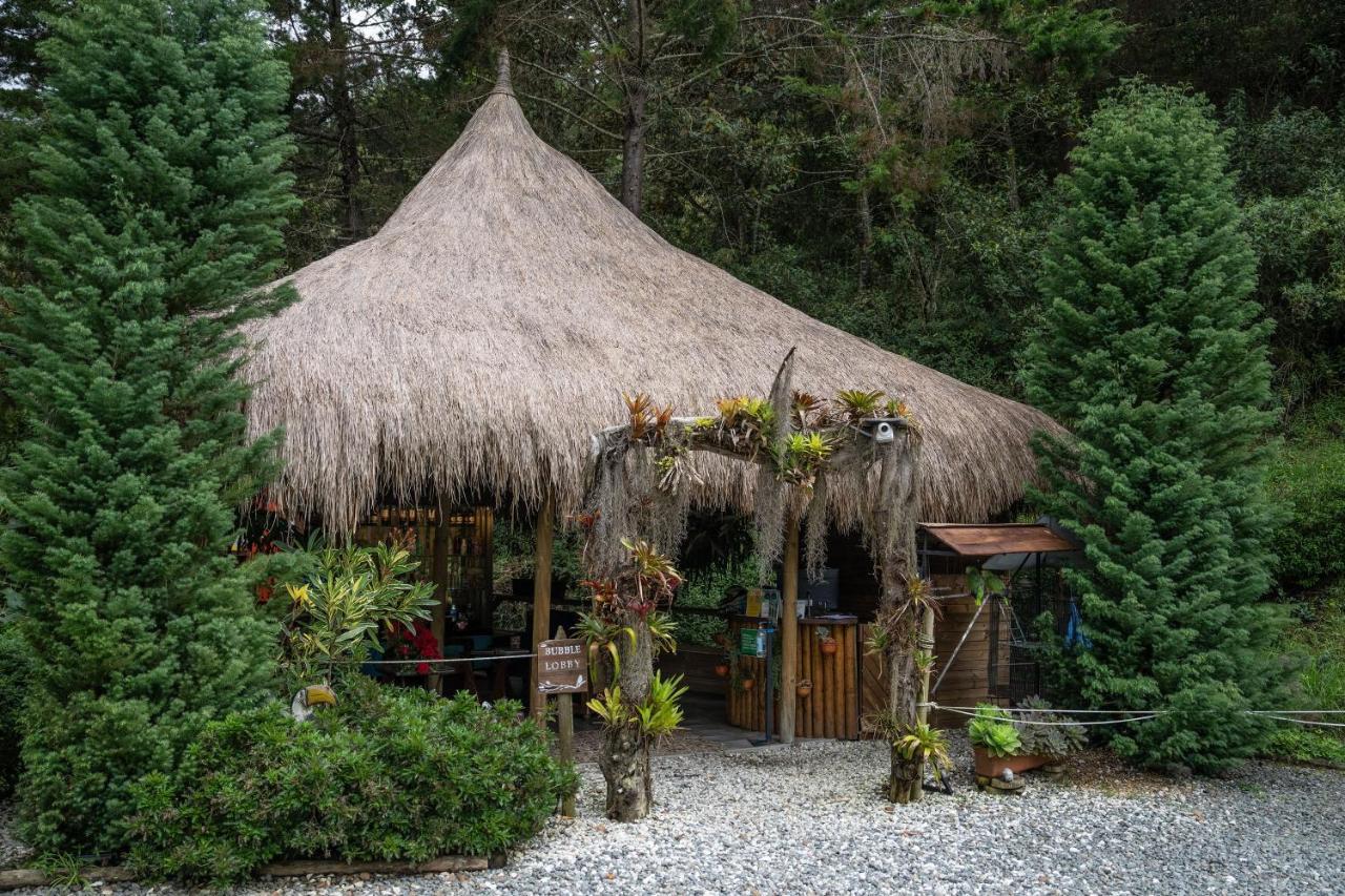 Bubblesky Glamping 40 Min From Medellin Otel El Retiro  Dış mekan fotoğraf