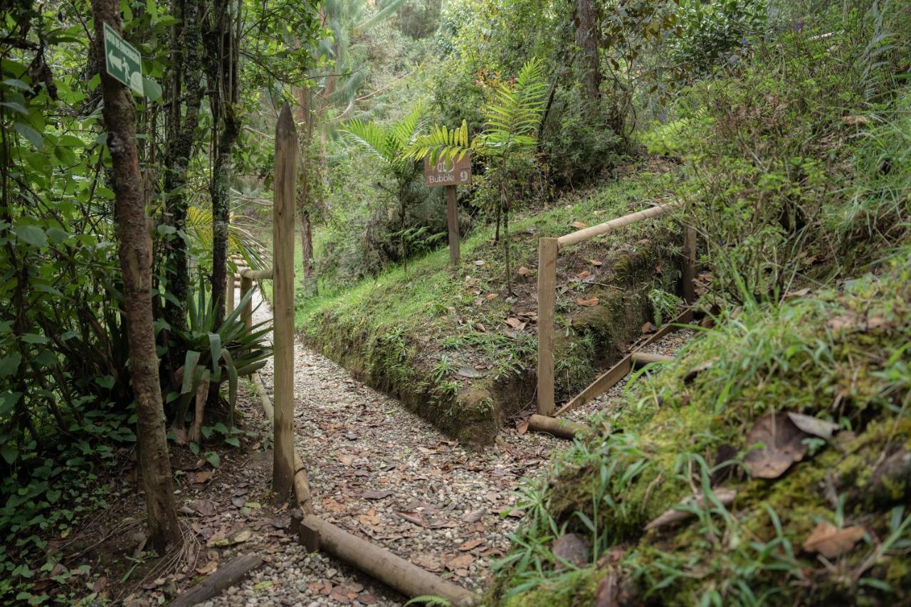 Bubblesky Glamping 40 Min From Medellin Otel El Retiro  Dış mekan fotoğraf