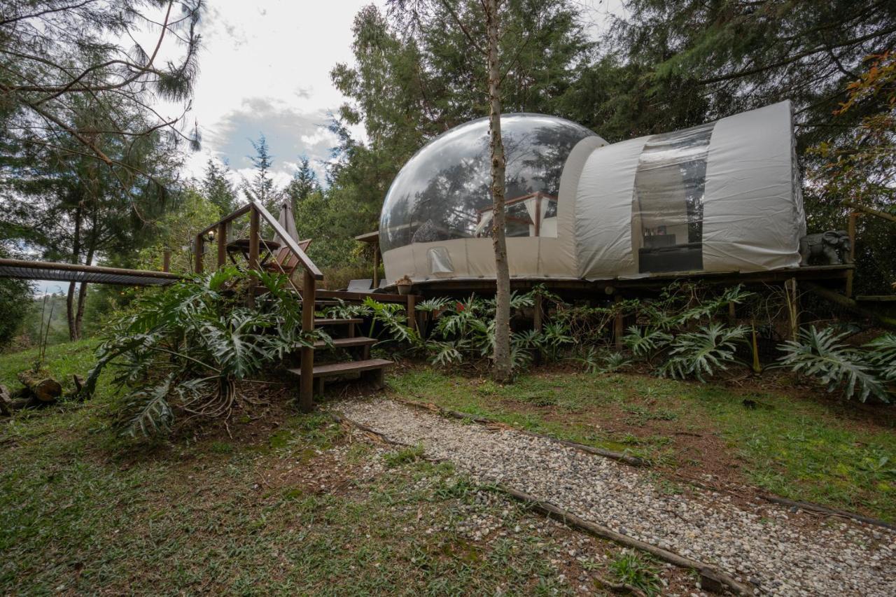 Bubblesky Glamping 40 Min From Medellin Otel El Retiro  Dış mekan fotoğraf