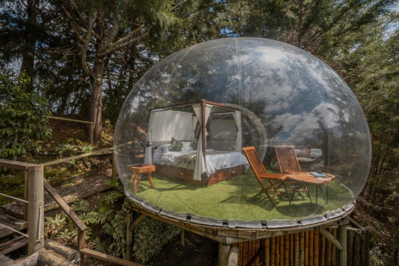 Bubblesky Glamping 40 Min From Medellin Otel El Retiro  Dış mekan fotoğraf