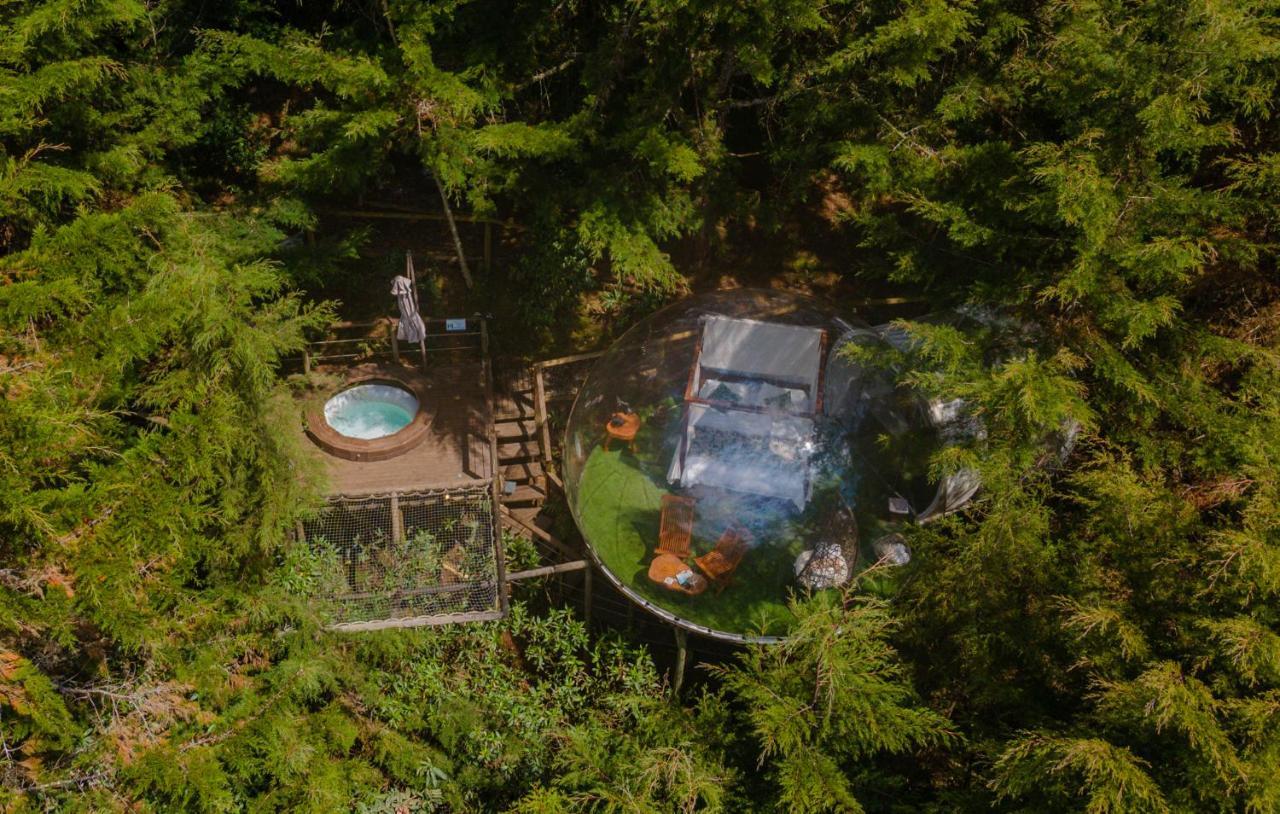 Bubblesky Glamping 40 Min From Medellin Otel El Retiro  Dış mekan fotoğraf