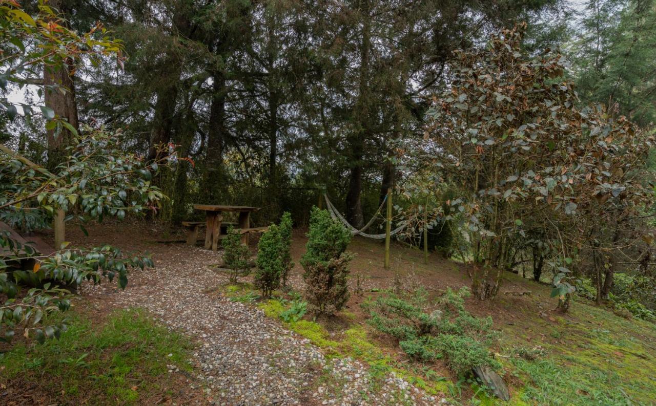 Bubblesky Glamping 40 Min From Medellin Otel El Retiro  Dış mekan fotoğraf