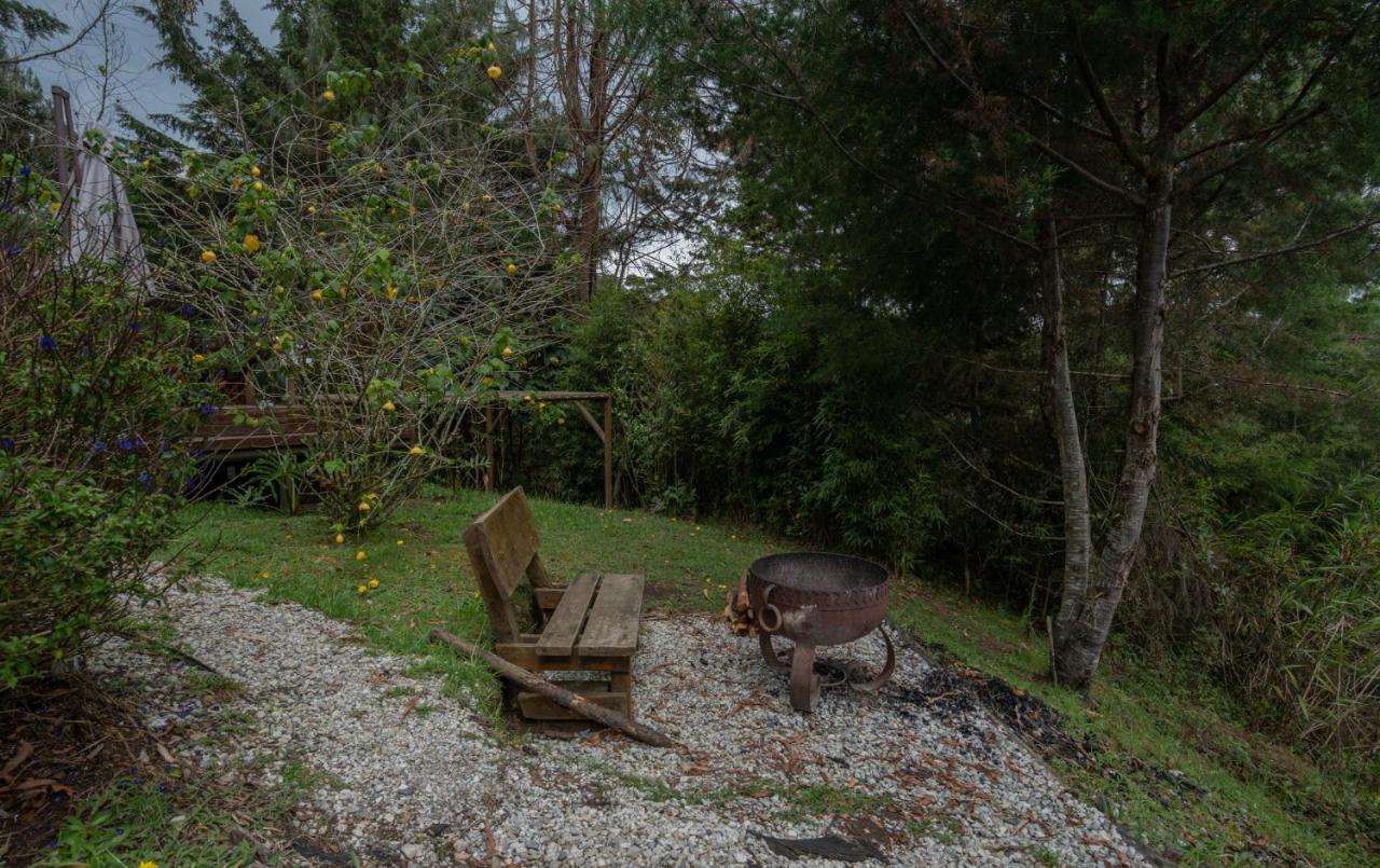 Bubblesky Glamping 40 Min From Medellin Otel El Retiro  Dış mekan fotoğraf