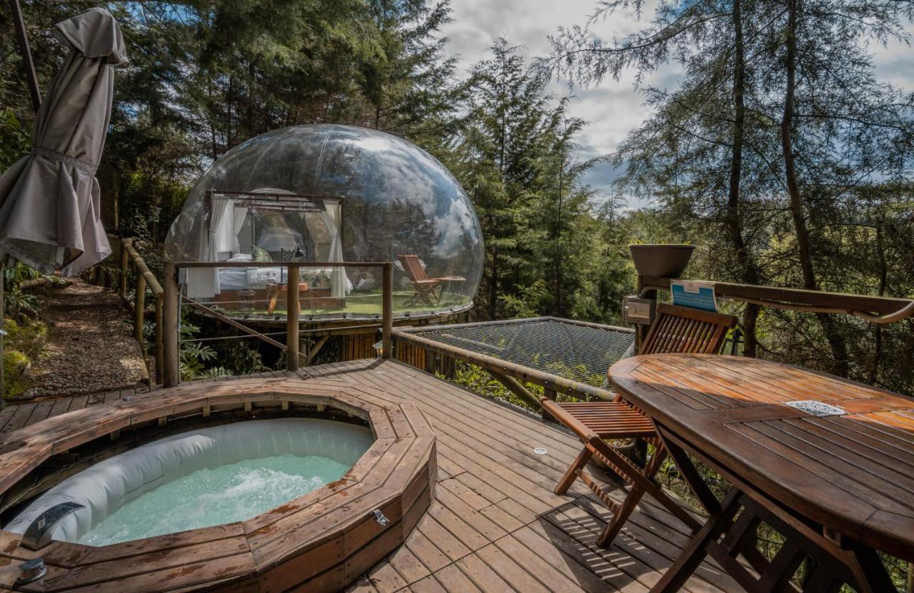 Bubblesky Glamping 40 Min From Medellin Otel El Retiro  Dış mekan fotoğraf