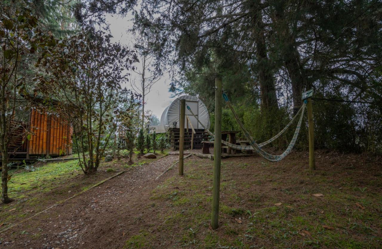 Bubblesky Glamping 40 Min From Medellin Otel El Retiro  Dış mekan fotoğraf